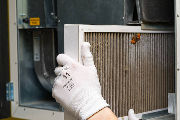Best Air Duct Cleaning Company Near Me  in Anahola, HI