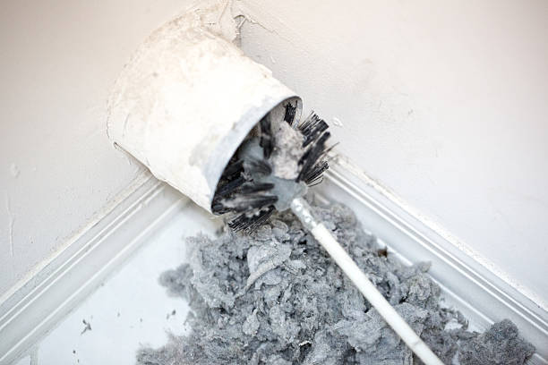 Best Commercial HVAC Duct Cleaning  in Anahola, HI
